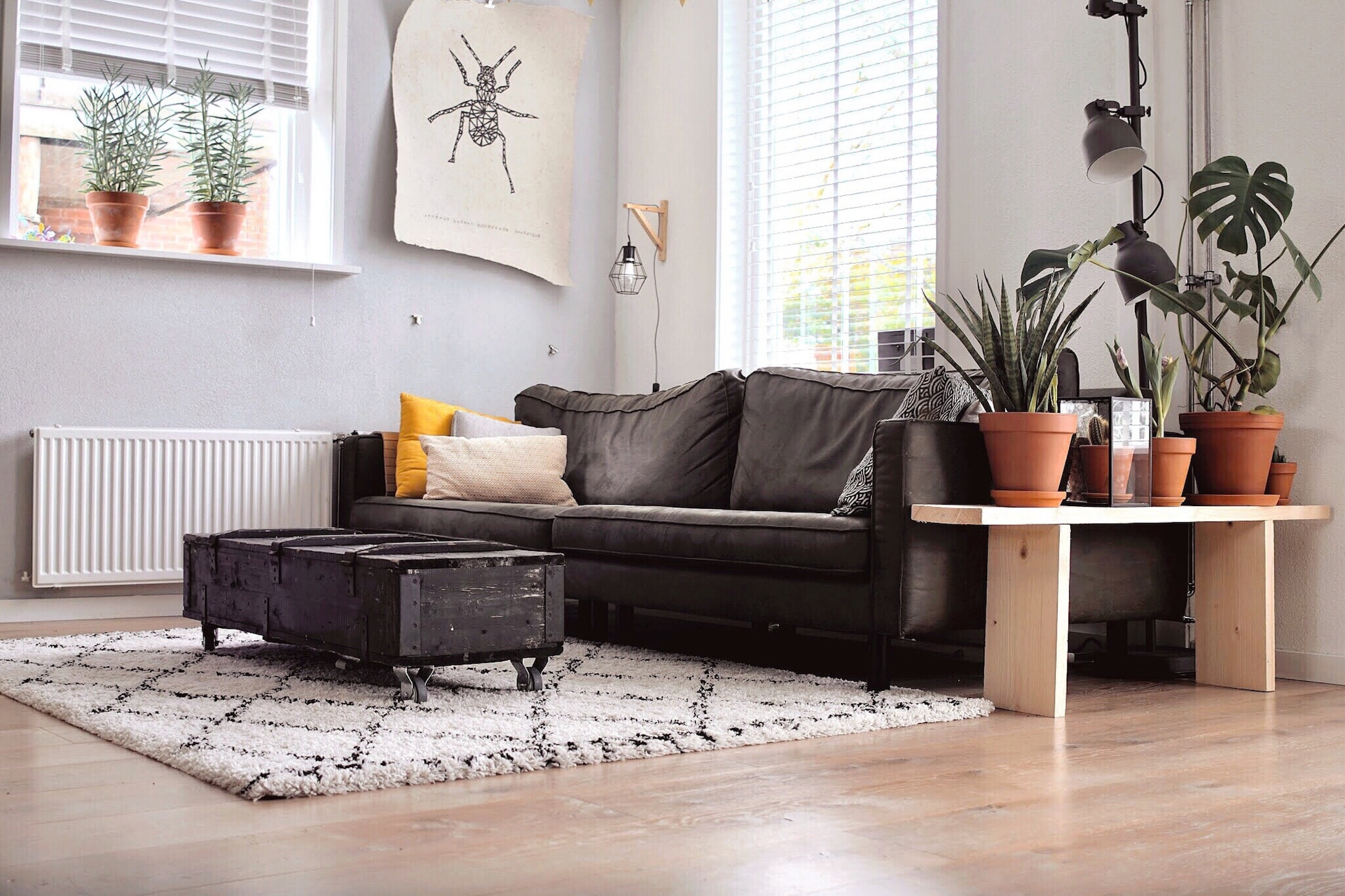 living-room-cleaning